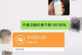 澄迈为什么选择专业追讨公司来处理您的债务纠纷？